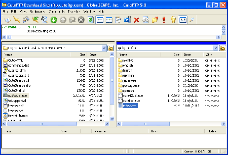 網絡必備工具cuteftp 5.0 xp最終版亮相